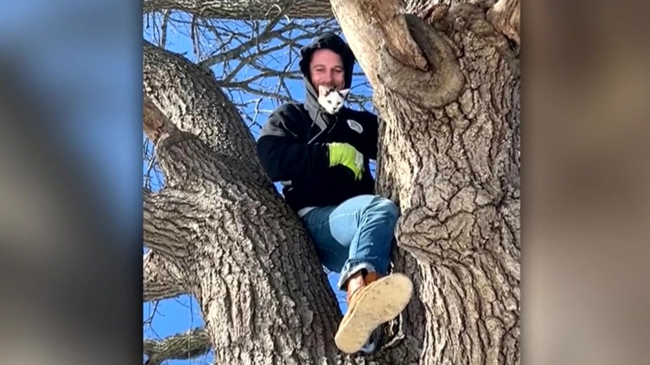 Man rescues cat stuck in tree for 2 days during blizzard in Rhode Island