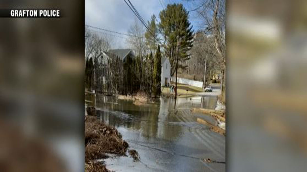 Broken beaver dam floods street in Grafton