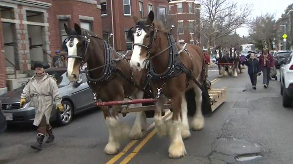 Mayor Wu, Boston 250, commemorate 250th anniversary of Knox’s ‘Noble Train of Artillery’