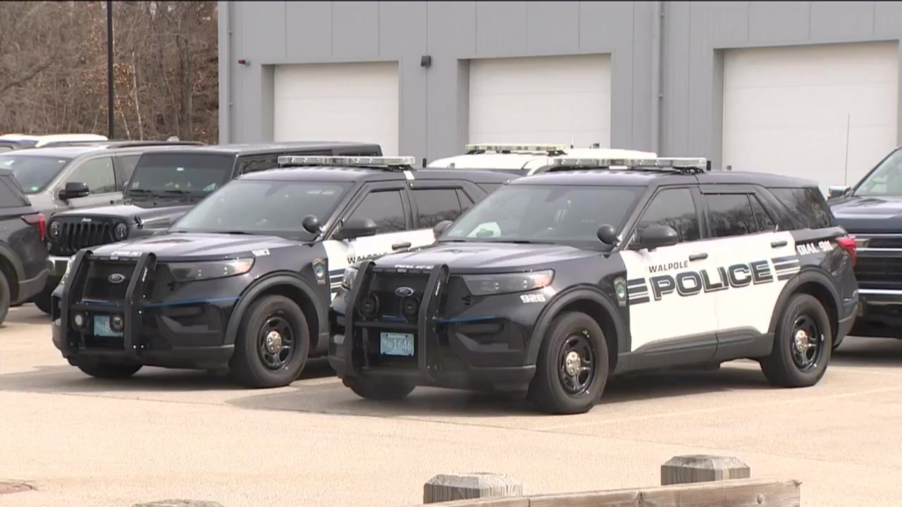 Police investigating attempted carjacking in Walpole Mall parking lot