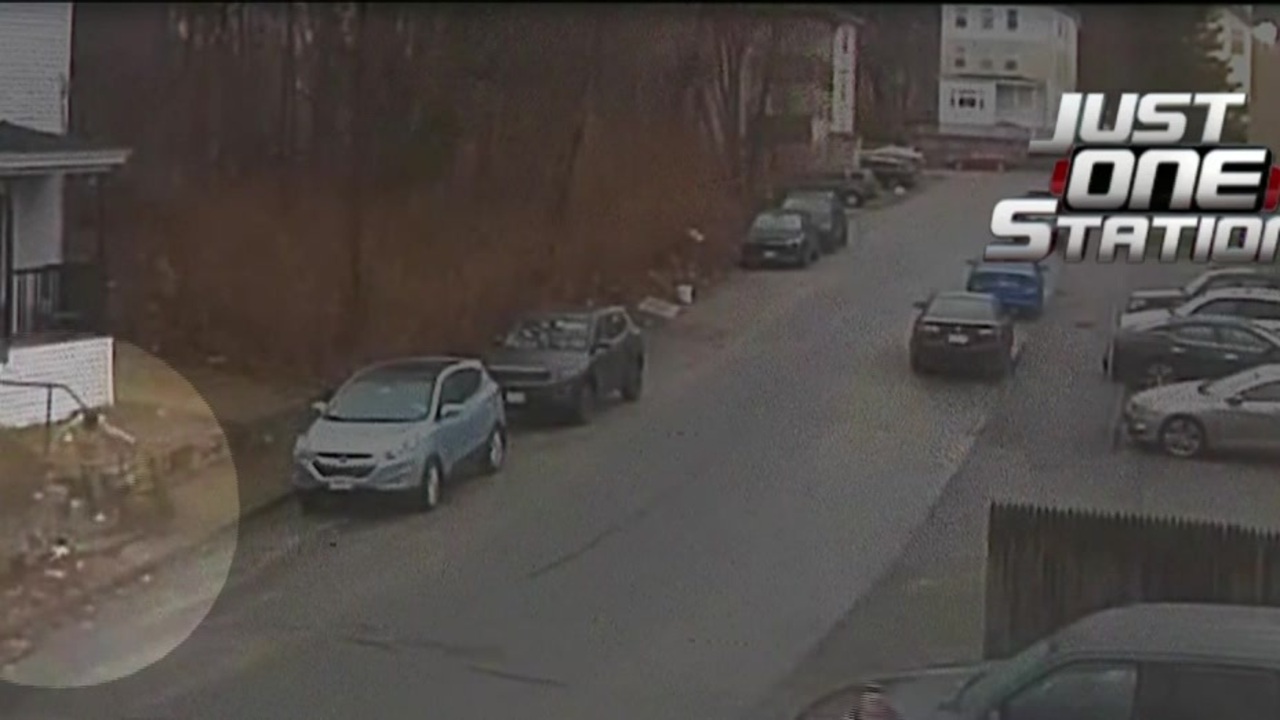 Woman taken to hospital after animal attack in Worcester