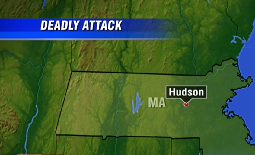 29-year-old accused of attacking several family members with skateboard, killing his grandmother in Hudson