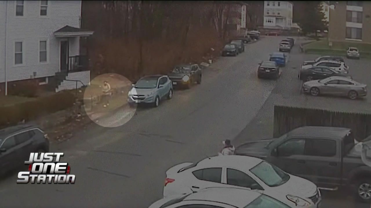 JUST ONE STATION: Worcester fox attack victim speaks to 7NEWS about encounter