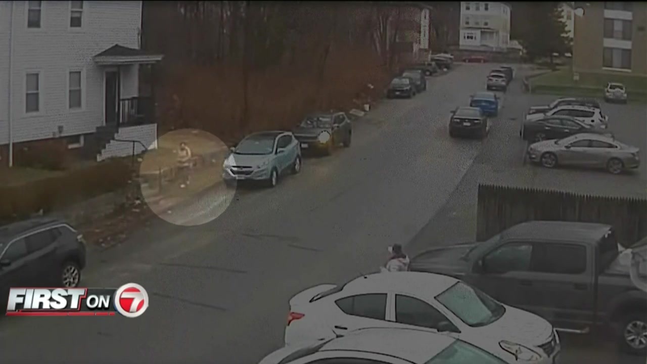 Woman taken to hospital after being attacked by fox in Worcester