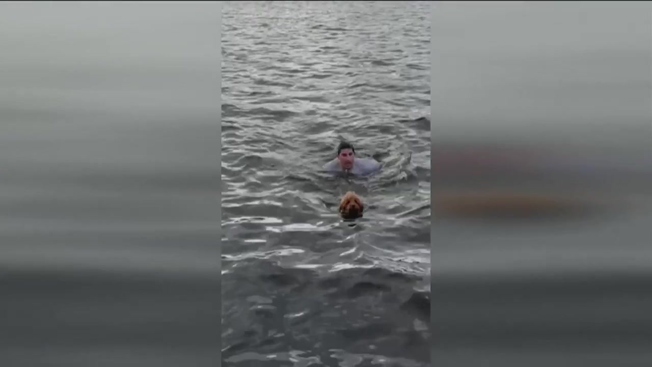 Man jumps into Charles River to save dog who ran into freezing water