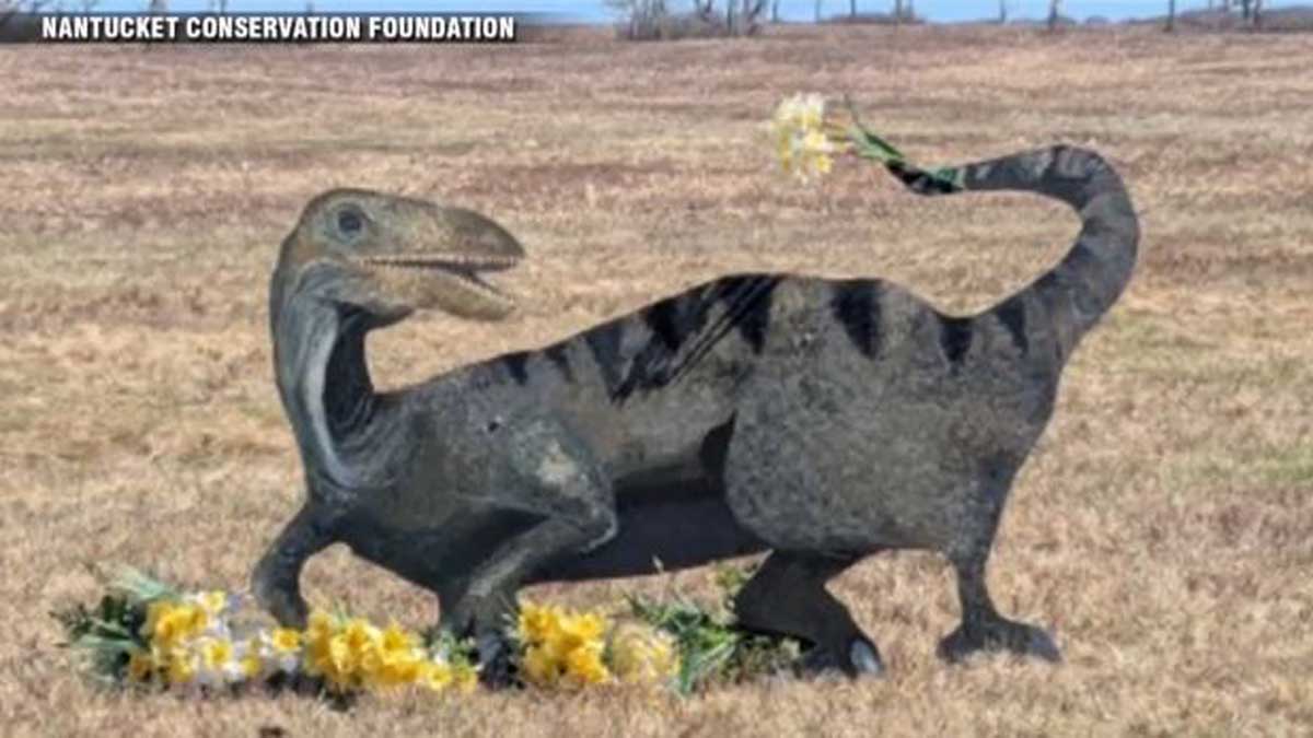 Nantucket High School students create dino display to promote conservation