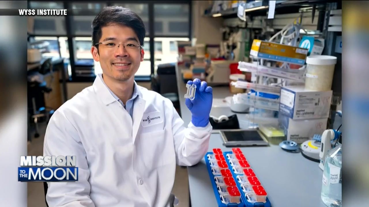 Harvard scientists researching how being in space impacts human body in joint study with NASA