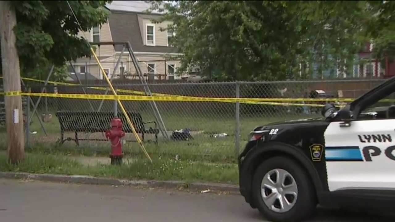 14-year-old stabbed at Lynn playground