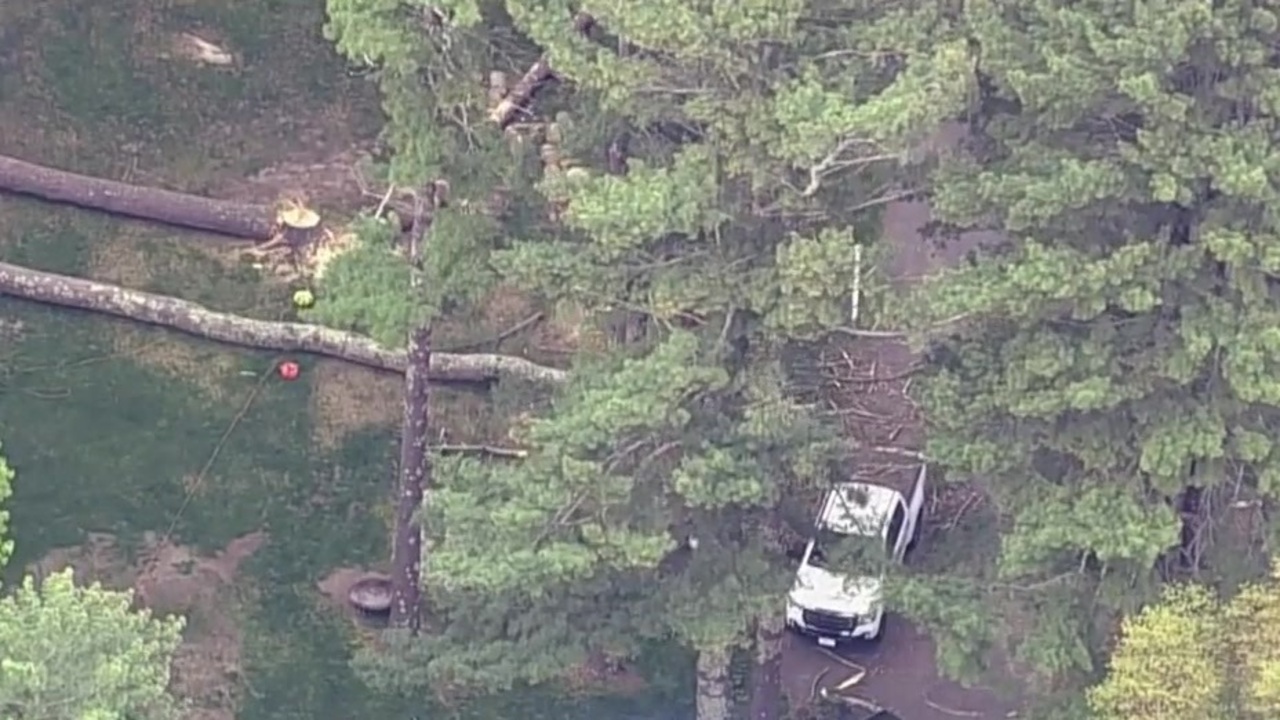 70-year-old man killed while cutting tree in Plymouth