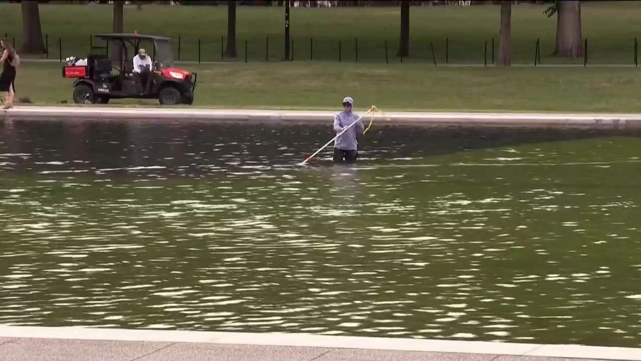 Reflecting Pool liner was cut with a sharp knife or razor, National Park Service says
