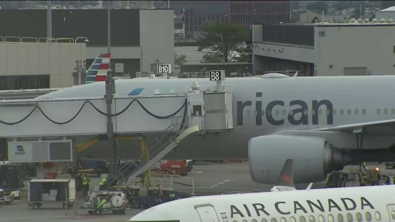American Airlines back in the air after glitch grounds all its flights