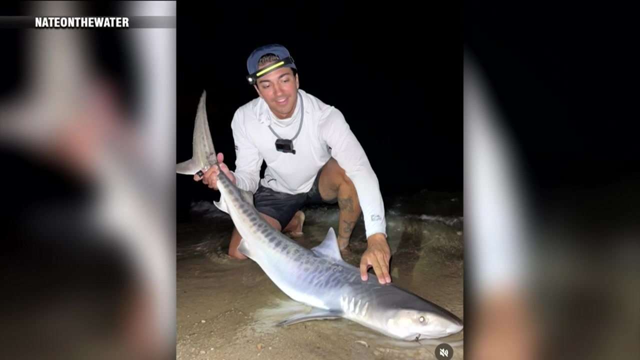 Uncommon catch: Fisherman reels in tiger shark on the Cape