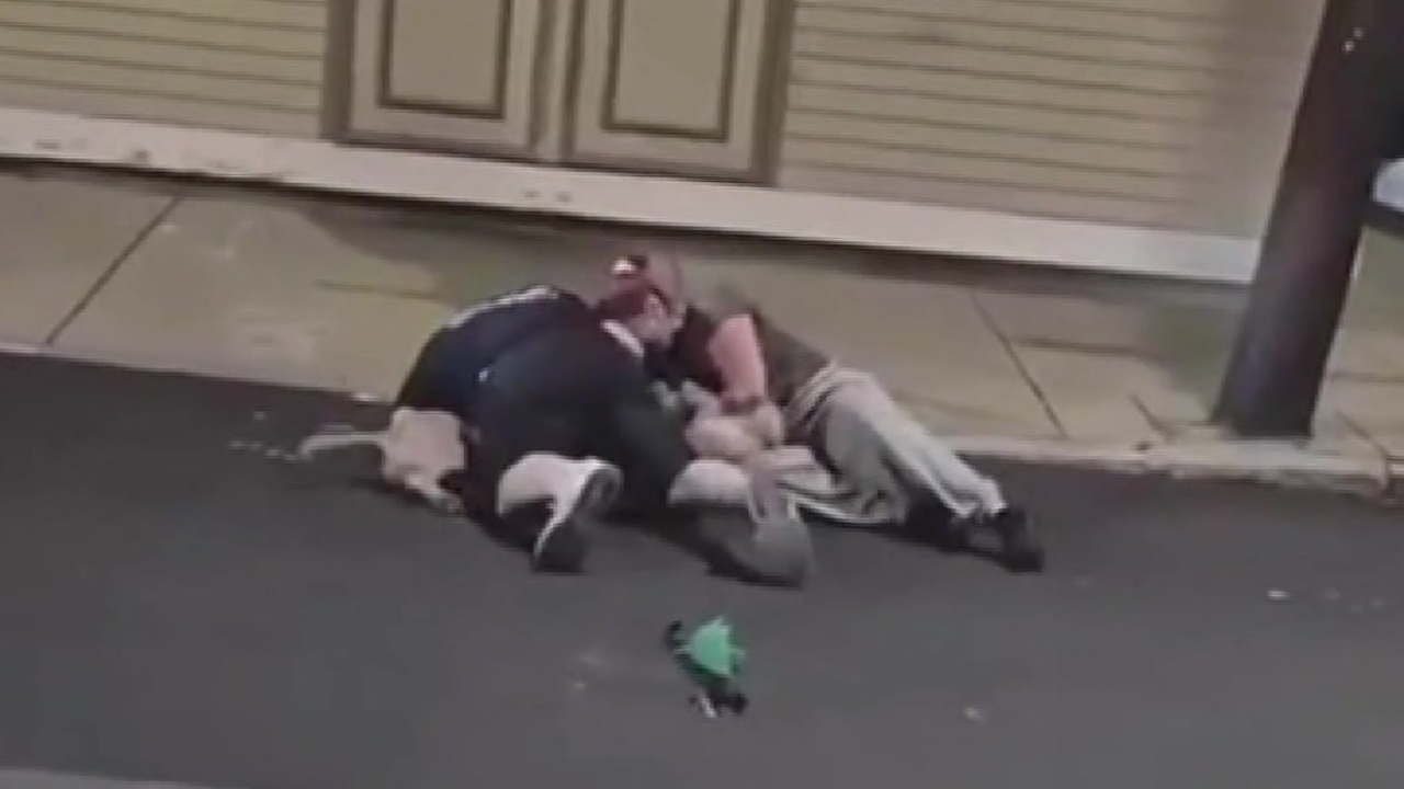 Service dog mauled by unleashed dog in Chelsea, owner also hurt