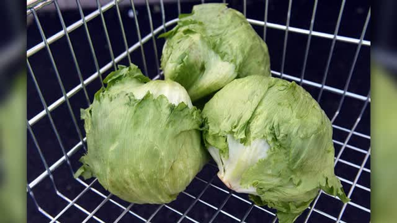 FDA still focused on lettuce supplier as source of parasite, despite faulty test result
