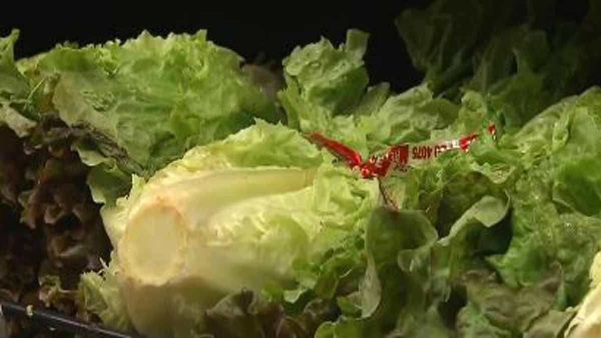 Taylor Farms recalls lettuce shipped to 27 states over cyclospora risk