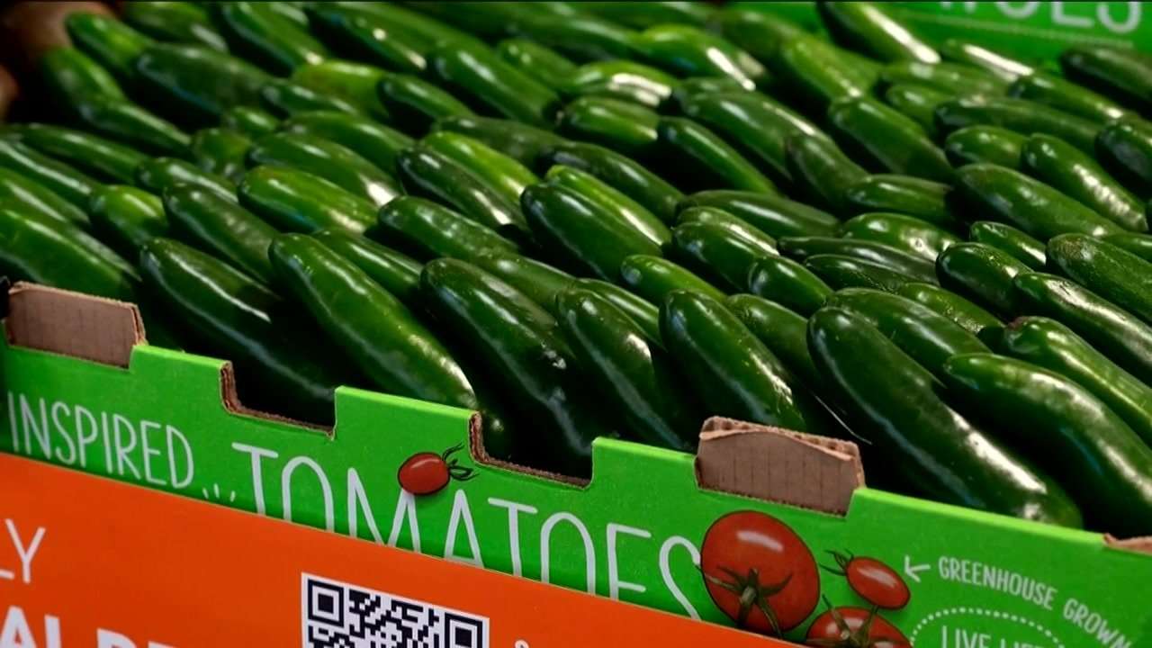 Taylor Farms recalls jalapeno products over salmonella concerns