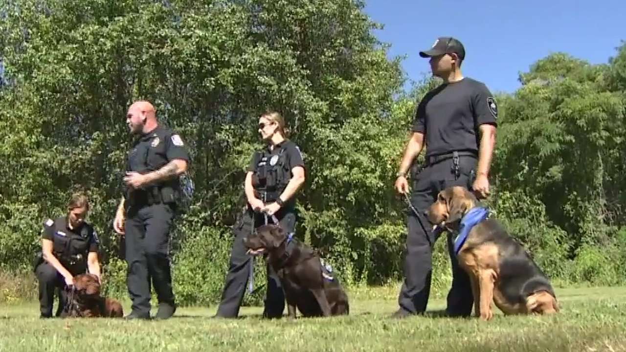 Worcester County DA’s Office announces grant to establish county-wide comfort dog program