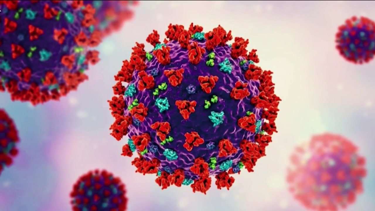 How Russia and the world are responding to a possible case of pneumonic plague after lab worker dies