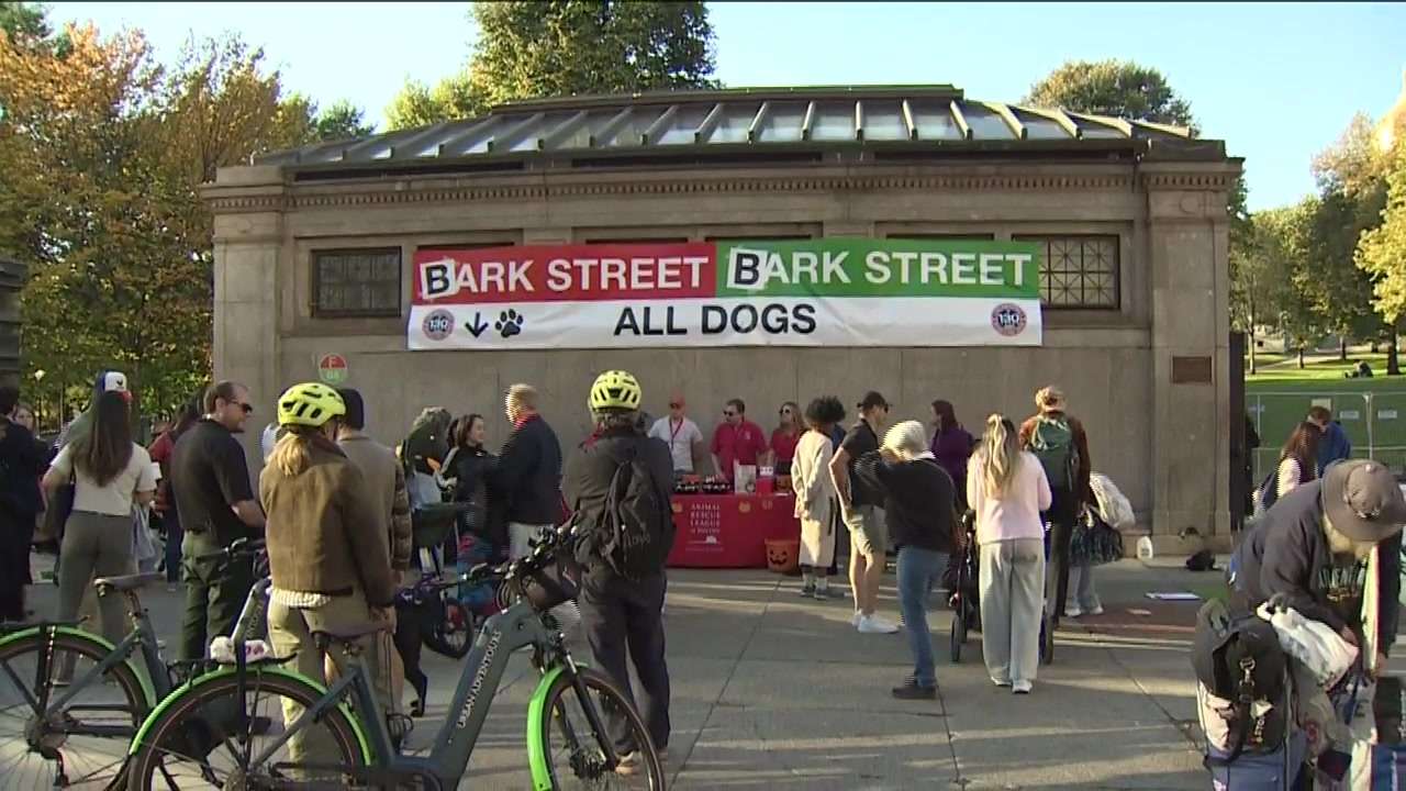 MBTA, Animal Rescue League of Boston transform Park Street to ‘Bark Street’ to promote adoption