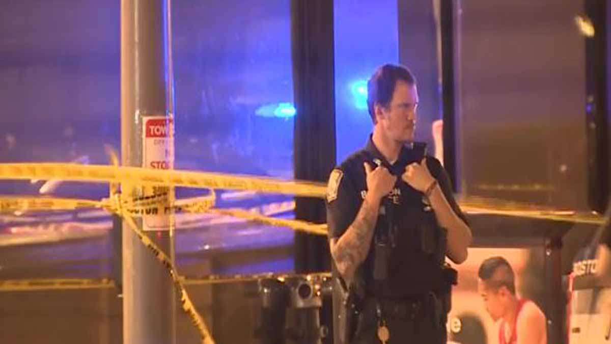 Assault News Image